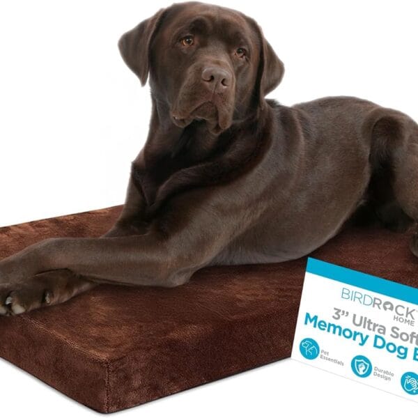 BIRDROCK HOME Memory 3" Memory Dog Bed | Ultra Soft Plush Pet Bed | Pet Mat (40 x 26, Brown)