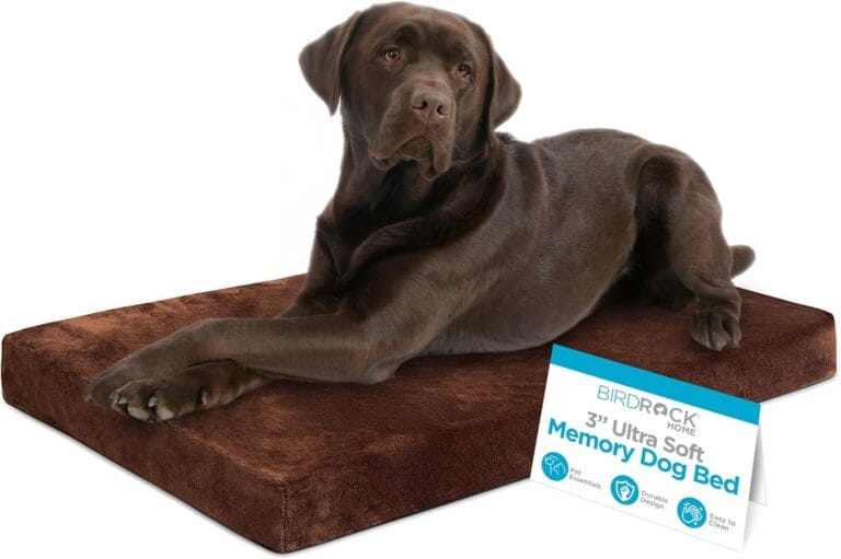 BIRDROCK HOME Memory 3" Memory Dog Bed | Ultra Soft Plush Pet Bed | Pet Mat (40 x 26, Brown)