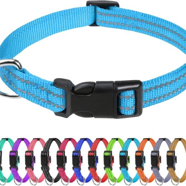 TagME Dog Collars for Small Dogs, Reflective Nylon Pet Collar with Quick Release Buckle, Small Dog Collar for Boys, Sky Blue, 3/8" Width