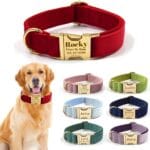 Custom Personalized Dog Collars with Pet Name/Phone Number Engraved Gold Metal Buckle - Adjustable Sizes Soft Thick Velvet Collar for Small Medium Large Dogs 4 Colors - Dog Leash and Bow Tie Available