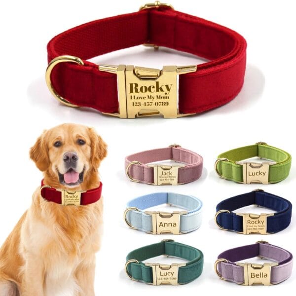 Custom Personalized Dog Collars with Pet Name/Phone Number Engraved Gold Metal Buckle - Adjustable Sizes Soft Thick Velvet Collar for Small Medium Large Dogs 4 Colors - Dog Leash and Bow Tie Available