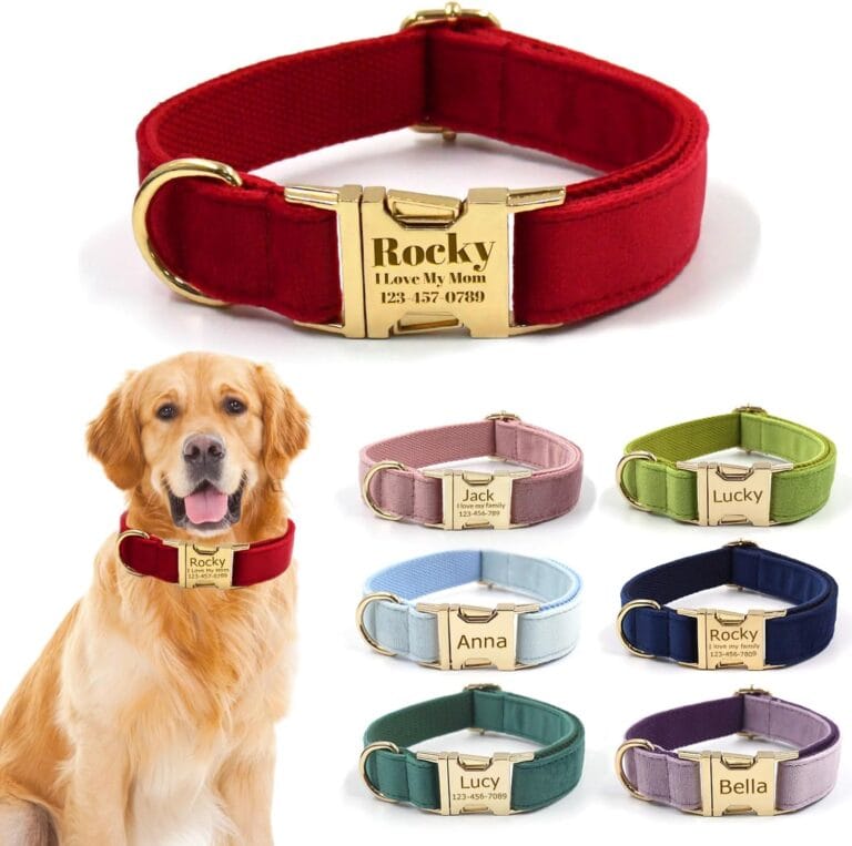 Custom Personalized Dog Collars with Pet Name/Phone Number Engraved Gold Metal Buckle - Adjustable Sizes Soft Thick Velvet Collar for Small Medium Large Dogs 4 Colors - Dog Leash and Bow Tie Available