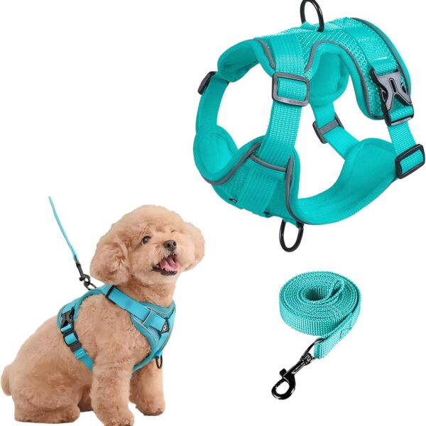 SOLMOONY Small Dog Harness,Soft Mesh Puppy Harness and Leash Set,No Escape Cat Harnesses for Training Walking,Reflective Adjustable Puppy Vest for Small Medium Dogs, Cats (Turquoise, S)
