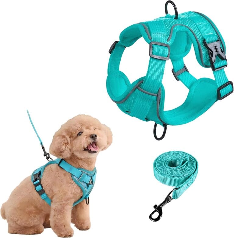 SOLMOONY Small Dog Harness,Soft Mesh Puppy Harness and Leash Set,No Escape Cat Harnesses for Training Walking,Reflective Adjustable Puppy Vest for Small Medium Dogs, Cats (Turquoise, S)