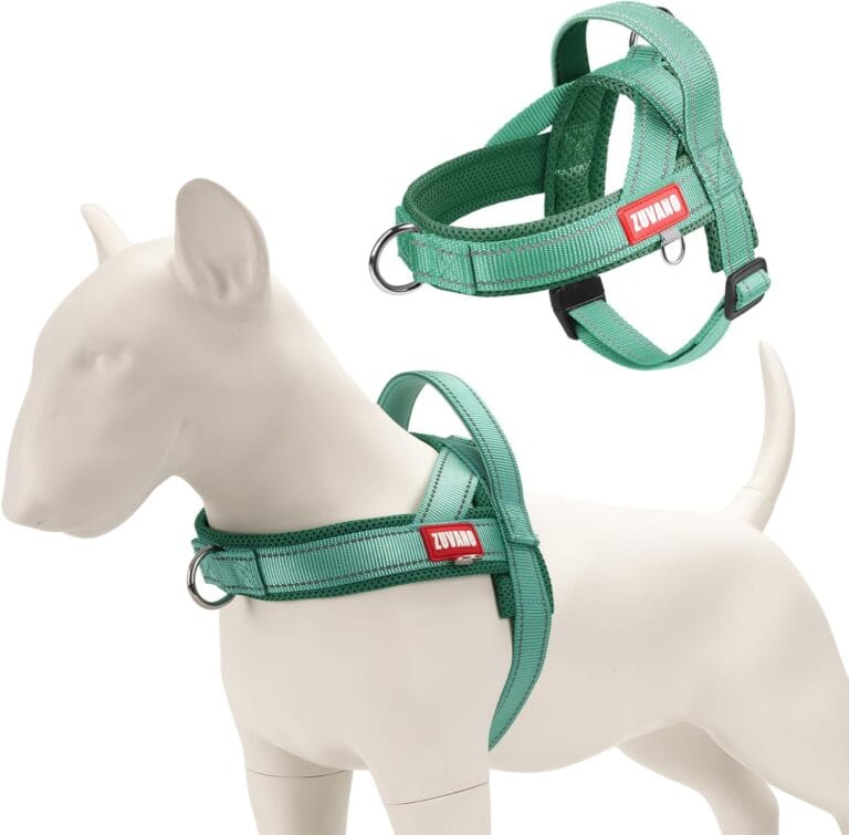 Sage Green Soft Dog Harness Medium Sized Dogs No-Pull Escape-Proof Dog Harness with Front Clip  Emotional Support Quick Fit Padded Mesh Vest with Handle, M