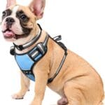 WINSEE Dog Harness No Pull, Pet Harnesses with Dog Collar, Adjustable Reflective Oxford Outdoor Vest, Front/Back Leash Clips for Small, Medium, Large, Extra Large Dogs, Easy Control Handle for Walking