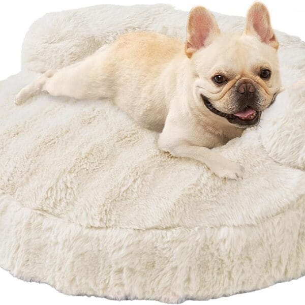 EHEYCIGA Medium Dog Bed and Large Cat Couch  Fluffy Faux Rabbit Fur Pet Sofa for Small and Medium Dogs, Washable Removable Cover, Waterproof and Non-Slip, 30 Inch, Cream