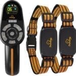 Adjustable Shock Levels Dog Training Collar with 9.8 FT Retractable Leash  Remote E-Collar for 2 Dogs, 3200 FT Range, Color Screen, Beep Vibration Static, IP67 Waterproof, USB-C Rechargeable