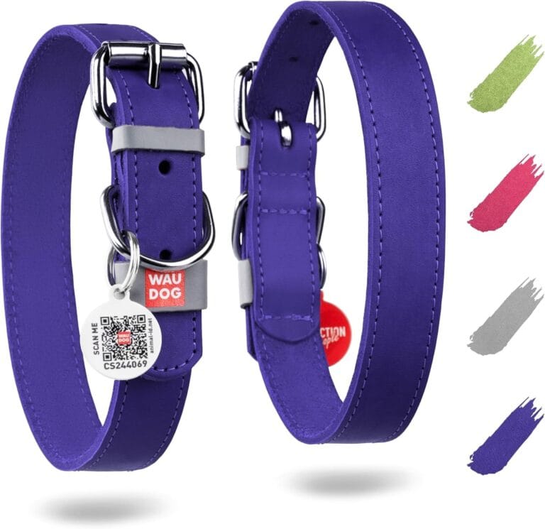 WAUDOG Long Lasting Leather Dog Collar for Large Dogs, Medium & Small Dogs - Adjustable Classic Puppy Collars for Large Breed Dogs - Boy & Girl Dog Collars with Durable Buckle, D-Ring & QR Dog Tag