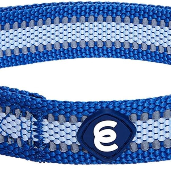 Blueberry Pet Small Dog Collar in Reflective Navy Blue | Adjustable Nylon Strap for Night Walking | Durable & Safe Puppy Training Collar