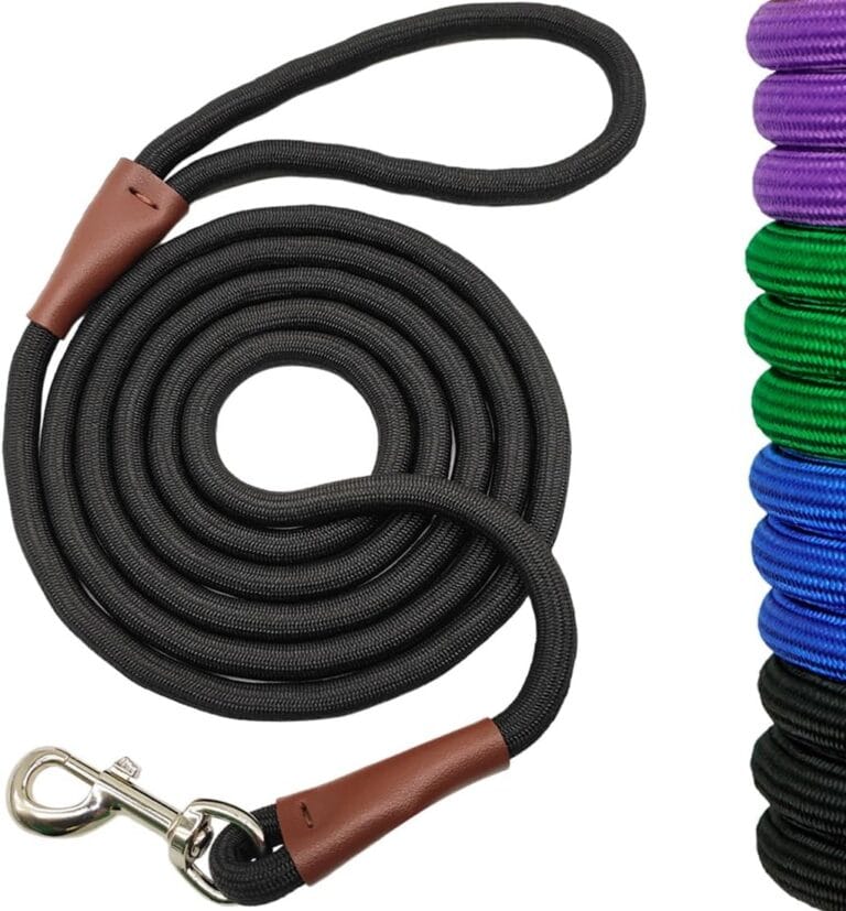 6 FT/8 FT/10 FT Rope Dog Leash, 1/2 Strong Nylon Climbing Leash with Leather Tailor Connection, Great for Medium and Large Dogs (1/2" x 8 ft, Black)