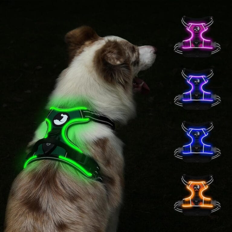 Taglory Light Up Dog Harness, Rechargeable No Pull Dog Vest with 3 Lightning Modes, Reflective Dog Harness with 2 Leash Clips & 4 Adjustable Slide Strips for Medium Dogs, Turquoise-Green, M