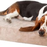 PETMAKER Memory Foam Dog Bed with Removable Cover, Medium, Tan