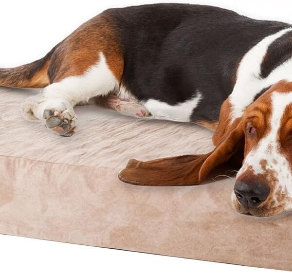 PETMAKER Memory Foam Dog Bed with Removable Cover, Medium, Tan