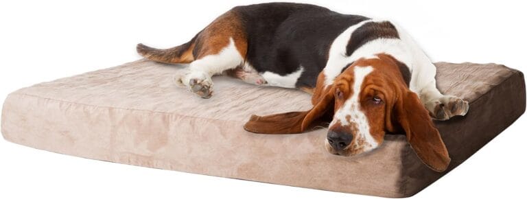 PETMAKER Memory Foam Dog Bed with Removable Cover, Medium, Tan