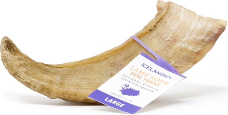 Icelandic+ Lamb Horn - Large - 7" Dog Chew, Long-Lasting Crunchy Treat, Medium & Large Dogs, Keratin, All-Natural, Pet Snack, Edible & Digestible