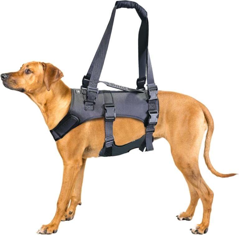 Doggie Stylz Dog Lift Harness for Large Dogs Full Body Support Sling Dog Carrier has Adjustable Handles Recovery Vest for Senior Dogs, Arthritis Joint Injuries, Mobility Aid Back Leg Support (Small)