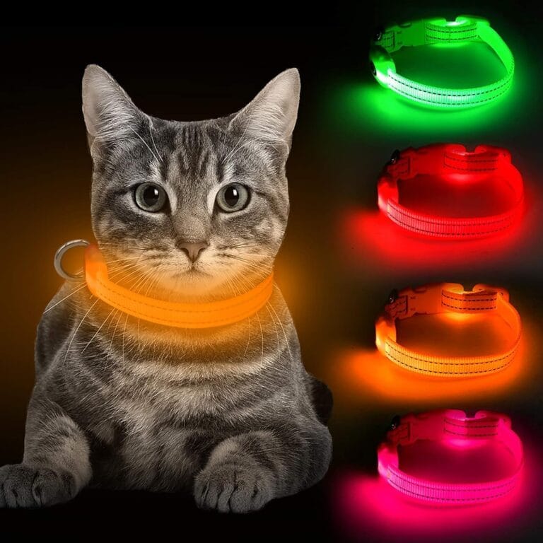 BSEEN Light Up Dog Collar, Reflective LED Dog Collar Rechargeable Glowing Puppy Collar for Puppies & CatsSafety Dog Lights for Night Walking (Orange)