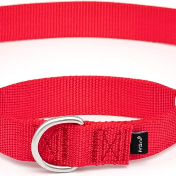PetSafe Martingale Collar with Quick-Snap Buckle - Adjustable No-Slip Quick Release Dog Collar - Everyday Wear No-Pull Training Aid - 1" Wide - Large - Red