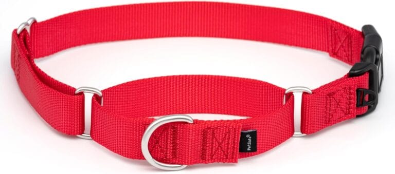 PetSafe Martingale Collar with Quick-Snap Buckle - Adjustable No-Slip Quick Release Dog Collar - Everyday Wear No-Pull Training Aid - 1" Wide - Large - Red