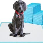 Large Pet Training and Puppy Pads Pee Pad for Dogs 24"x24"-80 Count Super Absorbent & Leak-Proof