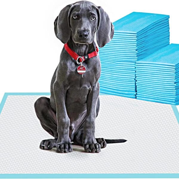 Large Pet Training and Puppy Pads Pee Pad for Dogs 24"x24"-80 Count Super Absorbent & Leak-Proof