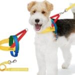 VETRESKA MoMA Dog Harness and Leash Set, Easy Walk Dog Harness for Small Medium Dogs, No Pull Puppy Harness for Walking and Training, Adjustable, Take Control & Anti-Twist Pet Lead Combo(Yellow, XS)