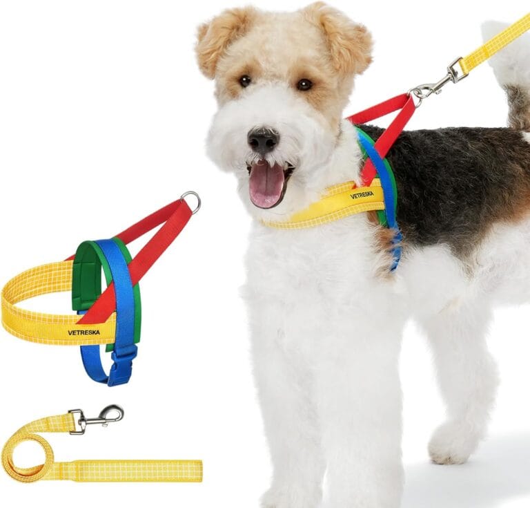 VETRESKA MoMA Dog Harness and Leash Set, Easy Walk Dog Harness for Small Medium Dogs, No Pull Puppy Harness for Walking and Training, Adjustable, Take Control & Anti-Twist Pet Lead Combo(Yellow, XS)