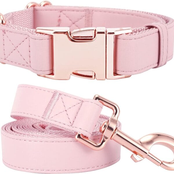Dog Collar and Leash Set.Soft and Easy to Clean Vegan Leather with Rose Gold Metal Buckle for Small Medium Large Dogs (Pink, S(12.2"-16.9"))