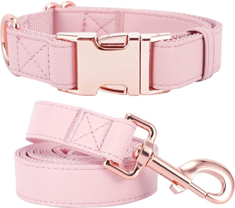Dog Collar and Leash Set.Soft and Easy to Clean Vegan Leather with Rose Gold Metal Buckle for Small Medium Large Dogs (Pink, S(12.2"-16.9"))