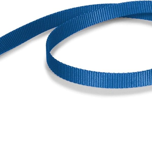 PetSafe Nylon Dog Leash  Strong, Durable, Traditional Style Leash with Easy to Use Bolt Snap  3/4" x 4', Royal Blue