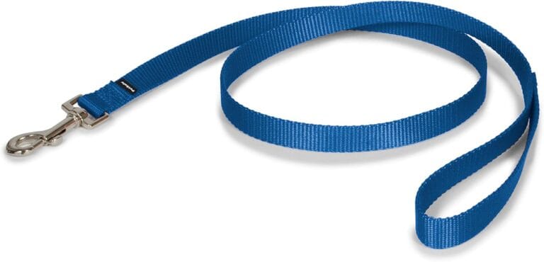 PetSafe Nylon Dog Leash  Strong, Durable, Traditional Style Leash with Easy to Use Bolt Snap  3/4" x 4', Royal Blue