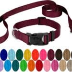 Country Brook Petz - Deluxe Nylon Dog Collar and Leash - 10+ Warm Colors (3/8 Inch, Extra Small, Burgundy)