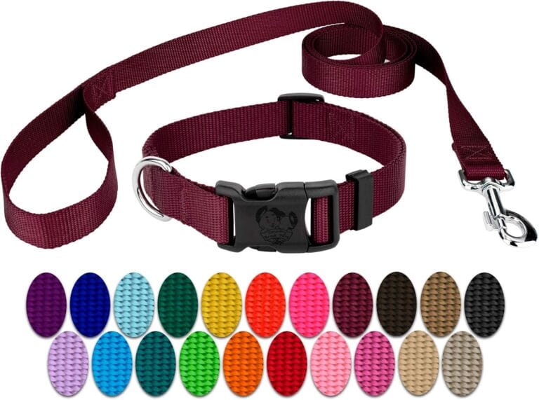Country Brook Petz - Deluxe Nylon Dog Collar and Leash - 10+ Warm Colors (3/8 Inch, Extra Small, Burgundy)