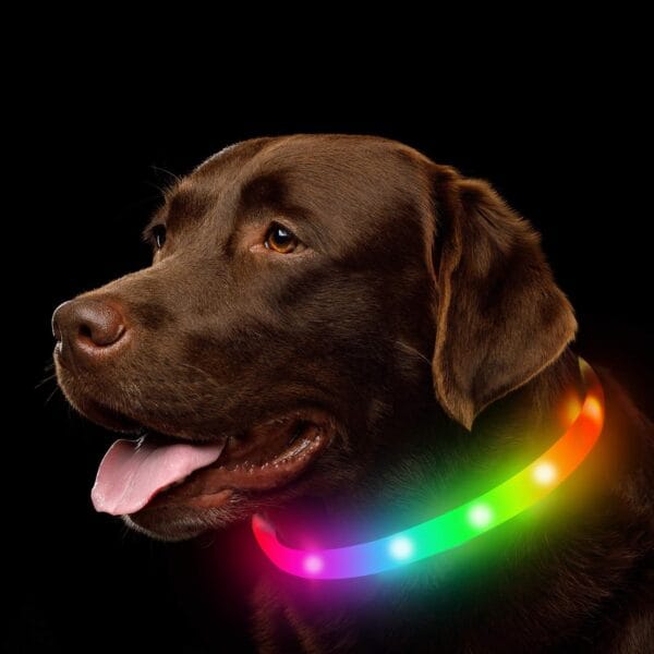 LED Dog Collar, Rechargeable RGB Color Changing Light Up Dog Collars, Waterproof Dog Lights Make Pet Visible and Safety for Night WalkingOutdoor, Camping, for Small Medium Large Dogs