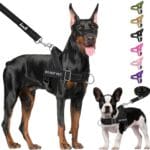 Lukovee No Pull Dog Harness & Leash Set - Heavy Duty Dog Vest Harness with Soft Padded for Medium Large Dogs, Adjustable Reflective Tactical Pet Harness for Easy Walk and Training (XL, Black)
