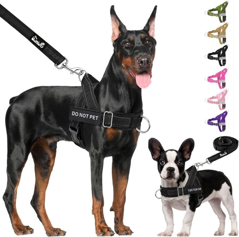 Lukovee No Pull Dog Harness & Leash Set - Heavy Duty Dog Vest Harness with Soft Padded for Medium Large Dogs, Adjustable Reflective Tactical Pet Harness for Easy Walk and Training (XL, Black)