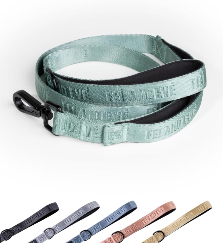 2025 New Edition, Fei & Eve Classic Dog Leash - 6FT, Dual Padded Handles, 360 Swivel Hook, Heavy Duty 210D Nylon - No-Pull Design with Traffic Control Handle - for Small/Medium/Large Dogs, Green