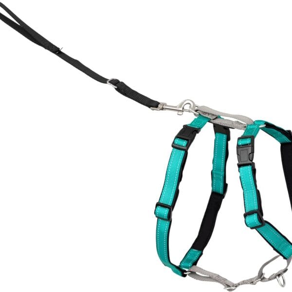 PetSafe 3-in-1 Harness - Comfortable Easy-Walk Dog Chest Harness with Front Leash Attachment to Reduce Pulling, Choking & Gagging - Dog Obedience Gear - Large- Teal