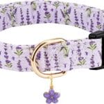 Personalized Dog Collars,Adjustable Puppy Collars with Safety Buckle for Small Medium Large Dogs,Cute and Unique Pink Cherry Pattern Pet Collar for Boy Girl Dogs. (Purple Lavender, S)