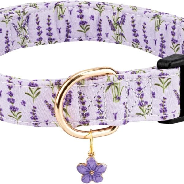 Personalized Dog Collars,Adjustable Puppy Collars with Safety Buckle for Small Medium Large Dogs,Cute and Unique Pink Cherry Pattern Pet Collar for Boy Girl Dogs. (Purple Lavender, S)