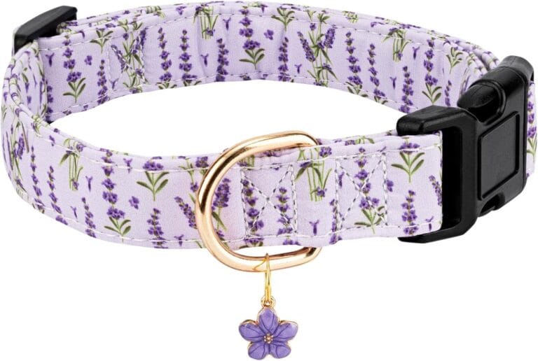 Personalized Dog Collars,Adjustable Puppy Collars with Safety Buckle for Small Medium Large Dogs,Cute and Unique Pink Cherry Pattern Pet Collar for Boy Girl Dogs. (Purple Lavender, S)