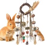 Bissap Bunny Chew Toy, Rabbits Cage Hanging Chew Toys and Treats Rattan Ring with Snacks Water Grass Wooden Block Carrot for Guinea Pigs Chinchillas Hamsters Rats and Other Small Pets Teeth Grinding