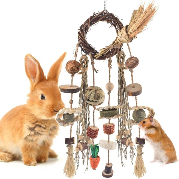 Bissap Bunny Chew Toy, Rabbits Cage Hanging Chew Toys and Treats Rattan Ring with Snacks Water Grass Wooden Block Carrot for Guinea Pigs Chinchillas Hamsters Rats and Other Small Pets Teeth Grinding
