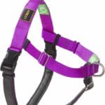 Freedom No Pull Dog Harness for Large Dogs, Designed for Hound Dog Train, Easy Walk, Anti Pull with 2 Stainless D-Rings, Comfortable, Sewn-in Instructions Tags for Easy Use (Purple, L)