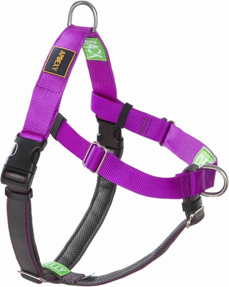 Freedom No Pull Dog Harness for Large Dogs, Designed for Hound Dog Train, Easy Walk, Anti Pull with 2 Stainless D-Rings, Comfortable, Sewn-in Instructions Tags for Easy Use (Purple, L)