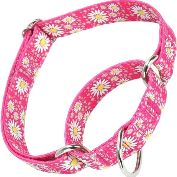 Serijoars Martingale Collar for Dogs, No-Slip Escape Proof Choke No Pull Cinch Soft Nylon Dog Training Collars Adjustable for Medium Large Breed Pet Dogs (Hot Pink, L)