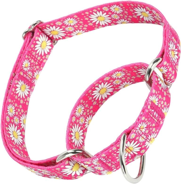 Serijoars Martingale Collar for Dogs, No-Slip Escape Proof Choke No Pull Cinch Soft Nylon Dog Training Collars Adjustable for Medium Large Breed Pet Dogs (Hot Pink, L)