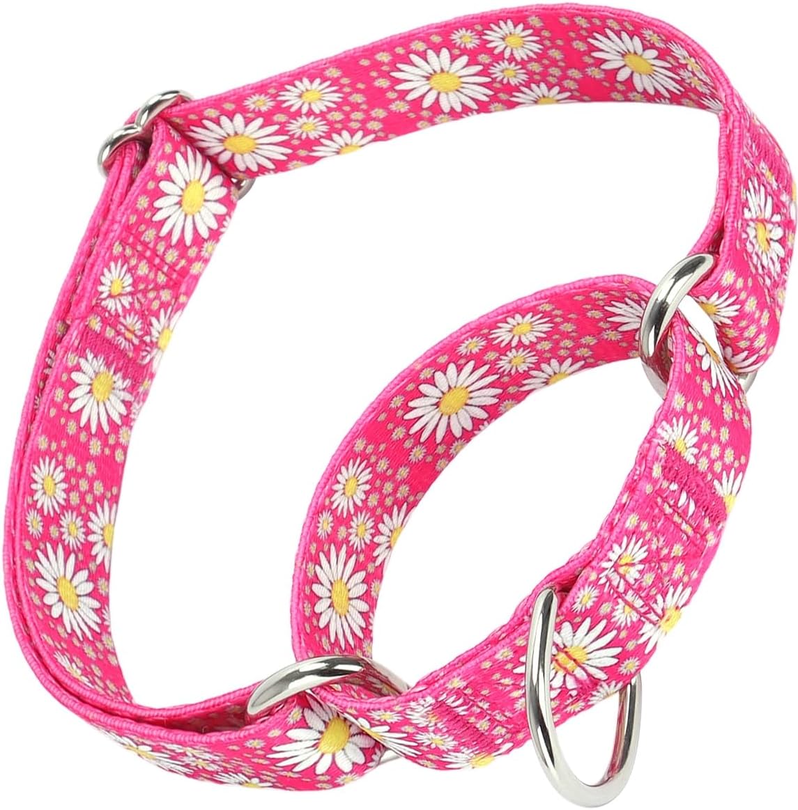 Serijoars Martingale Collar for Dogs, No-Slip Escape Proof Choke No Pull Cinch Soft Nylon Dog Training Collars Adjustable for Medium Large Breed Pet Dogs (Hot Pink, L) Serijoars Martingale Collar for Dogs, No-Slip Escape Proof Choke No Pull Cinch Soft Nylon Dog Training Collars Adjustable for Medium Large Breed Pet Dogs (Hot Pink, L)