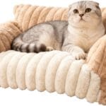 Cat Bed Couch Washable - Fluffy Supportive Pet Chair for Medium Indoor Cat - Large Cozy Dog Bed with Durable Fabric